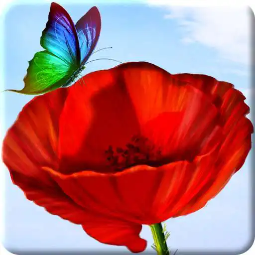 Run free android online Flowers and Butterflies Summer APK