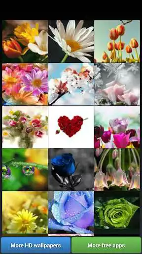 Play Flowers HD Wallpapers  and enjoy Flowers HD Wallpapers with UptoPlay