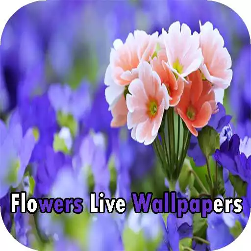 Free play online Flowers Live Wallpapers  APK