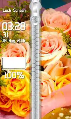 Play Flowers Zipper Lock Screen