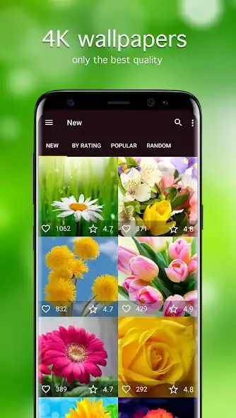 Play Flower Wallpapers 4K  and enjoy Flower Wallpapers 4K with UptoPlay