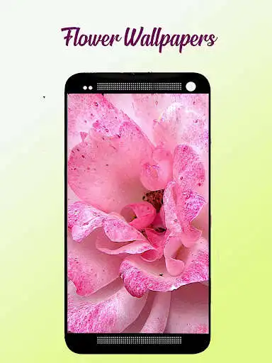 Play Flower Wallpapers Free as an online game Flower Wallpapers Free with UptoPlay