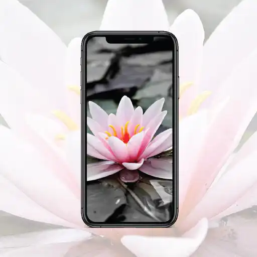 Play Flower Wallpapers - HD, QHD, FULL HD BACKGROUND APK