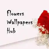 Free play online Flower Wallpapers Hub APK