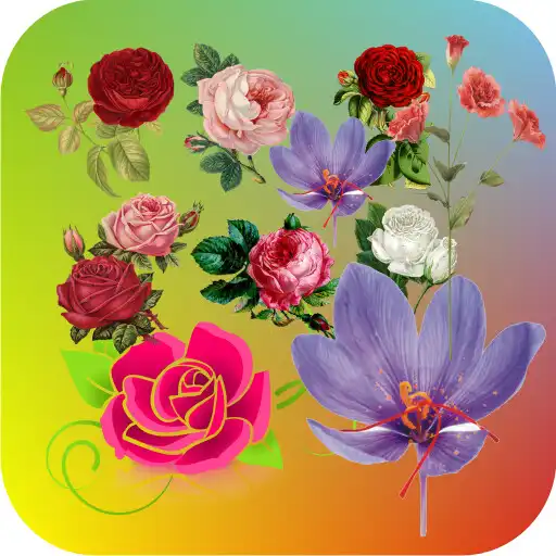 Play Flower Wallpapers In HD APK