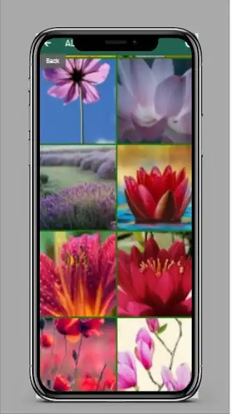 Play Flower Wallpapers In HD as an online game Flower Wallpapers In HD with UptoPlay