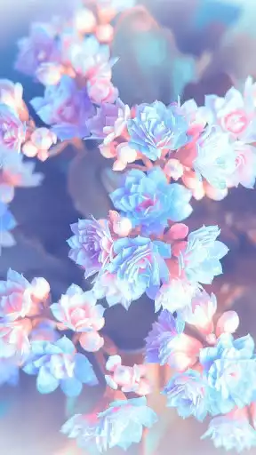 Play Flower Wallpapers as an online game Flower Wallpapers with UptoPlay