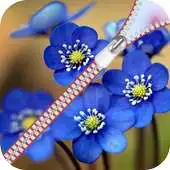 Free play online Flower Zipper Lock Screen APK