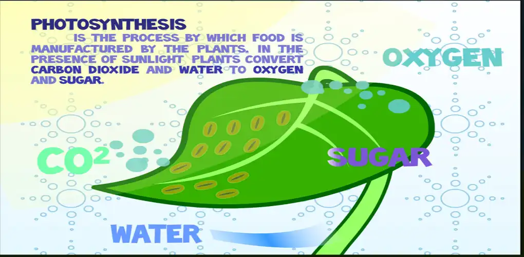 Play Flow of Energy in  Ecosystem  and enjoy Flow of Energy in  Ecosystem with UptoPlay