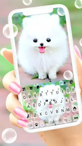 Play Fluffy Cute Dog Keyboard Background  and enjoy Fluffy Cute Dog Keyboard Background with UptoPlay