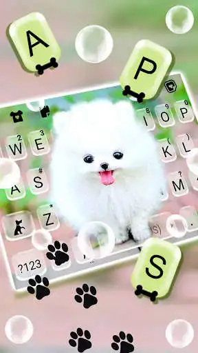 Play Fluffy Cute Dog Keyboard Background as an online game Fluffy Cute Dog Keyboard Background with UptoPlay