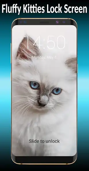 Play Fluffy Kitties Lock Screen  and enjoy Fluffy Kitties Lock Screen with UptoPlay