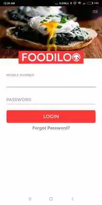 Play Foodiloo Restaurant