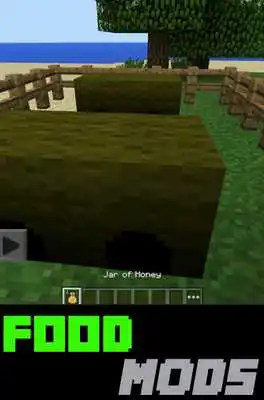 Play Food MODS For MCPE