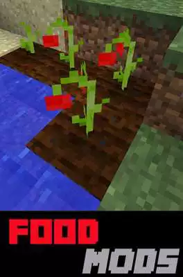 Play Food MODS List For MCPE