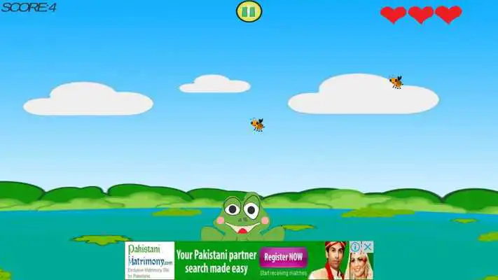 Play Foody Frog