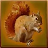 Free play online Forest Squirrel Simulator APK