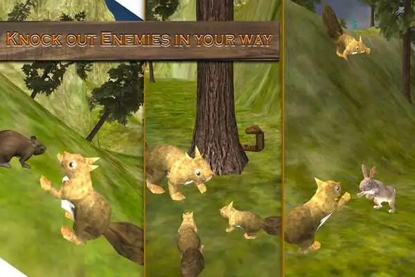 Play Forest Squirrel Simulator