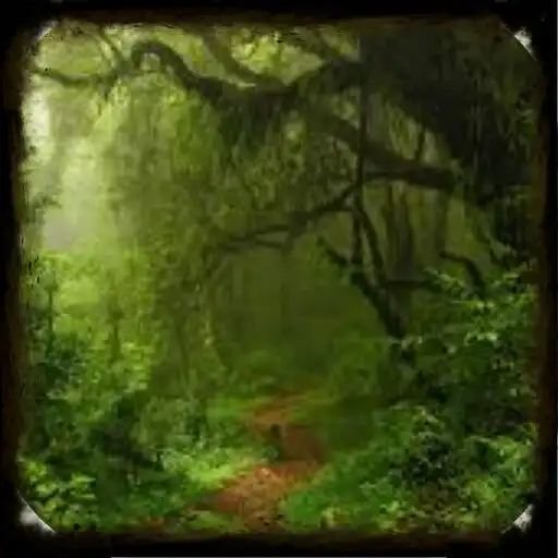 Play Forest Wallpapaer Hutan 4K APK