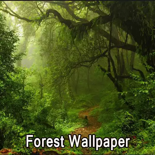 Play Forest Wallpaper APK