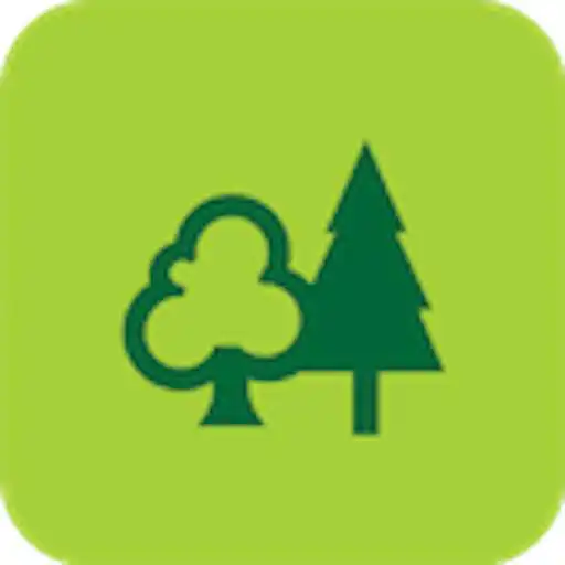 Free play online ForestXplorer  APK