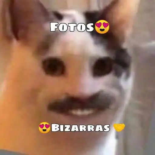 Play Fotos Bizarras APK