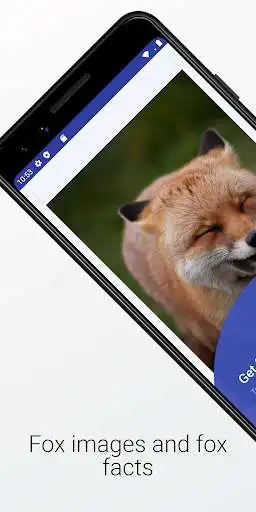 Play Fox Images and Facts  and enjoy Fox Images and Facts with UptoPlay