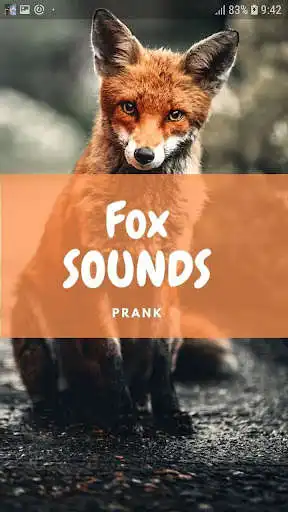 Play Fox Sounds and Wallpapers  and enjoy Fox Sounds and Wallpapers with UptoPlay