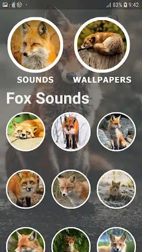 Play Fox Sounds and Wallpapers as an online game Fox Sounds and Wallpapers with UptoPlay