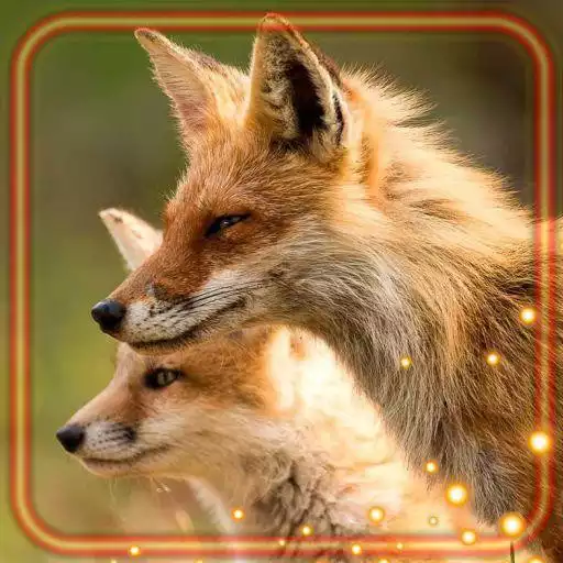 Play Fox Summer Forest APK