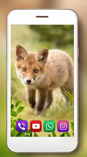 Play Fox Summer Forest as an online game Fox Summer Forest with UptoPlay