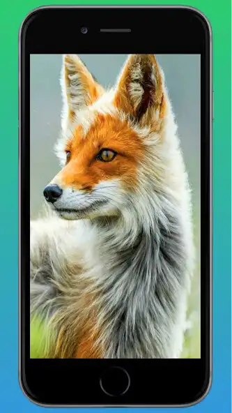 Play Fox Wallpaper  and enjoy Fox Wallpaper with UptoPlay