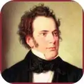 Free play online Franz Schubert Classic APK