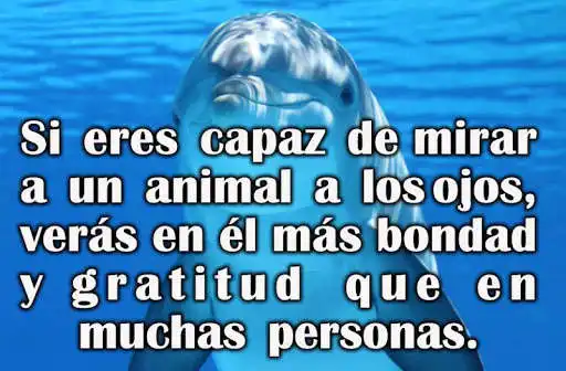 Play APK Frases de Conciencia Animal  and enjoy Frases de Conciencia Animal with UptoPlay com.gmail.labs.appigo.ConcienciaAnimal