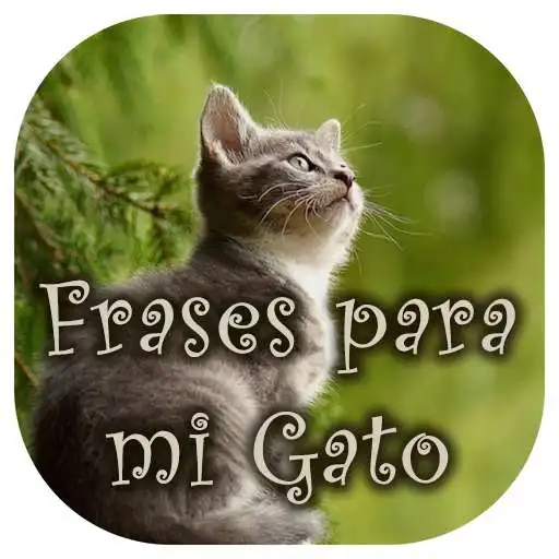 Play Frases para mi Gato APK