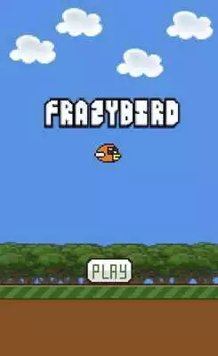 Play Frazy Bird