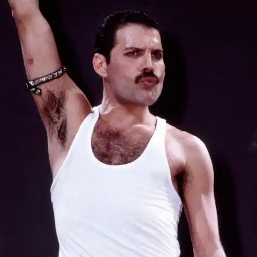 Play Freddie Mercury Stickers APK