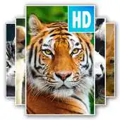 Free play online Free Animal Wallpaper APK