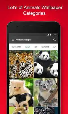 Play Free Animal Wallpaper