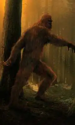 Play free bigfoot wallpapers