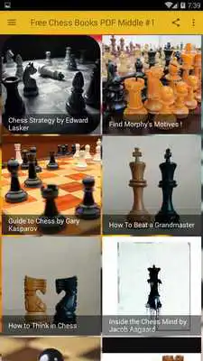 Play Free Chess Books PDF (Middlegame #1) ♟️