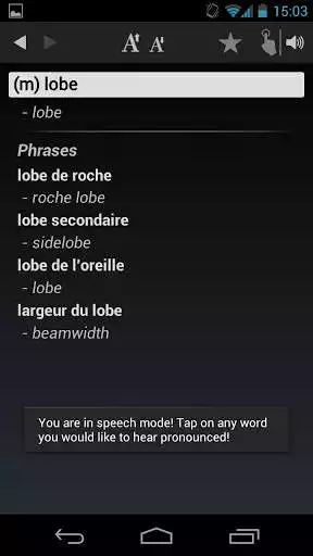 Play Free Dict French English