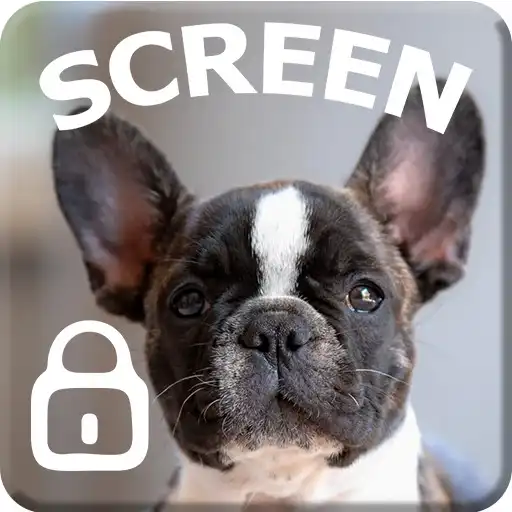 Play French Bulldog Puppy Pet Cute Screen Lock APK