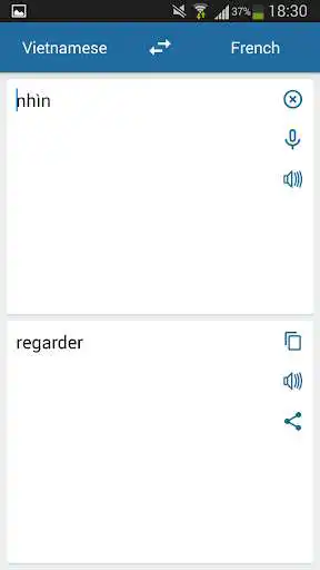 Play French-Vietnamese Translator