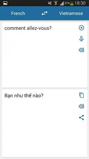 Play French-Vietnamese Translator