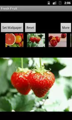 Play Fresh Fruit Wallpaper