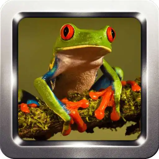 Free play online Frog Sound Collection APK