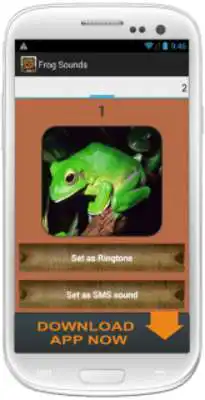 Play Frog Sound Collection