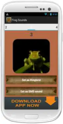 Play Frog Sound Collection