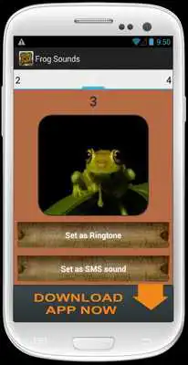 Play Frog Sound Collection